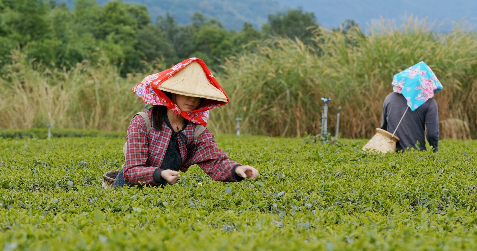 減班休息家數、人數雙下修　勞動部：訂單回穩。圖／envato