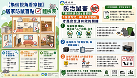 雙北鬧鼠患！　環境部揭居家3大防鼠破口
