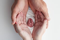 人工生殖法修法受矚　專家估國內借精需求量增8倍