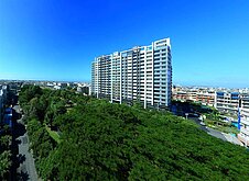 德民公園第一排　「陽光都柏林」換屋族最愛