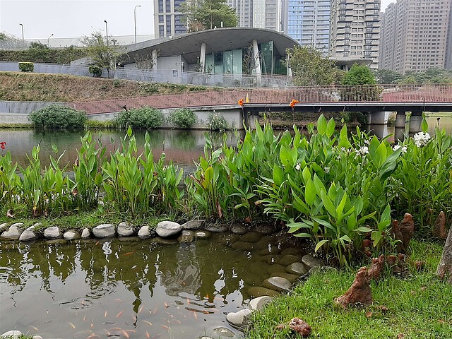 台中七期豪宅秋紅谷附近房價 | 實價登錄比價王