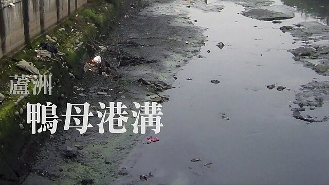 raw-image