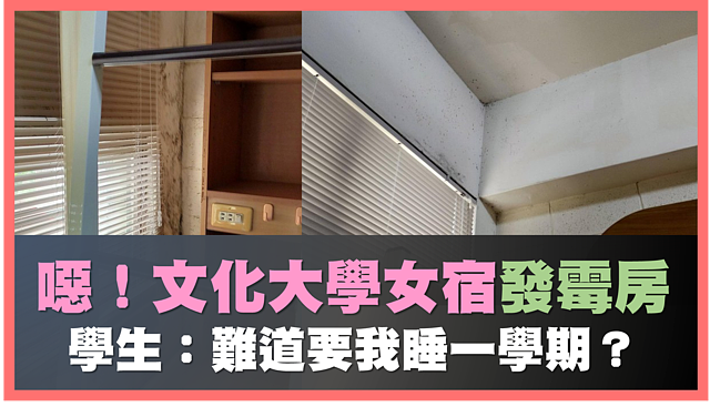 噁爆！直擊文化大學女宿「發霉房」　租屋學生：難道要我睡一學期？