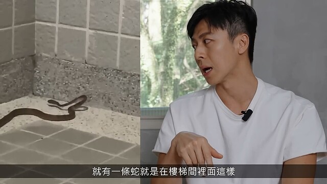袁艾菲老公分享,曾遇過鄰居家外面有台灣獼猴欲闖入,自己某次返家也曾碰過有蛇出沒的情形。圖翻攝自袁艾菲 AiFei頻道