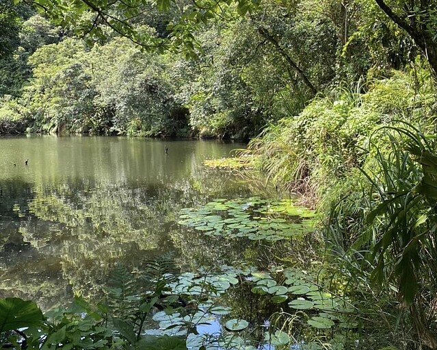 中央補助新北打造白匏湖生態園區　營造汐止生態休閒居住好環境