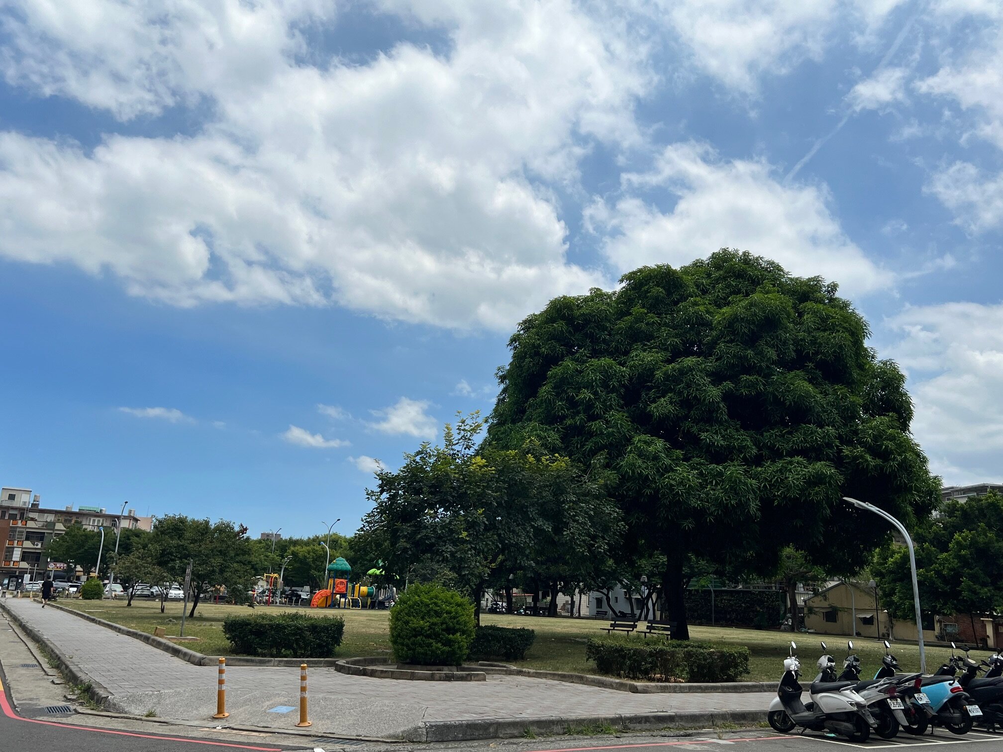 阿公有保庇／稅務員追繼承人3年「姓名是關鍵」　82歲長孫樂收竹市...