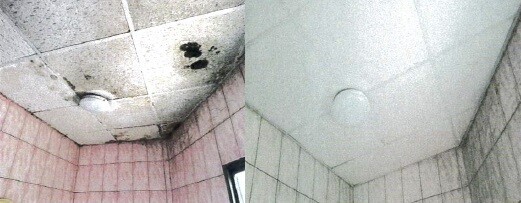 全國補助最高！新北建購宅每戶30萬、修繕金15萬　18歲就能申請
