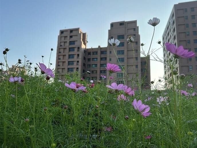 高雄建物立體綠化補助受理申請　最高80萬