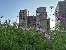 高雄建物立體綠化補助受理申請　最高80萬