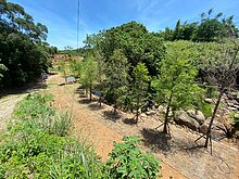 清查農保資格受關注　農業部擬放寬實耕1分地要件