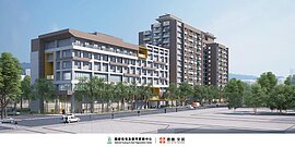 社宅工程為公安移路樹　新北市府：補30棵