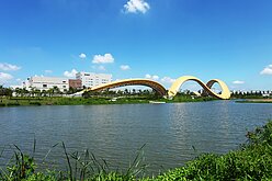 2025年全球50大最有價值企業　台積電躋身第10