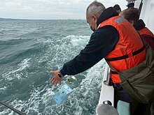 桃園推動生前預立環保葬　114年首季逾600人登記