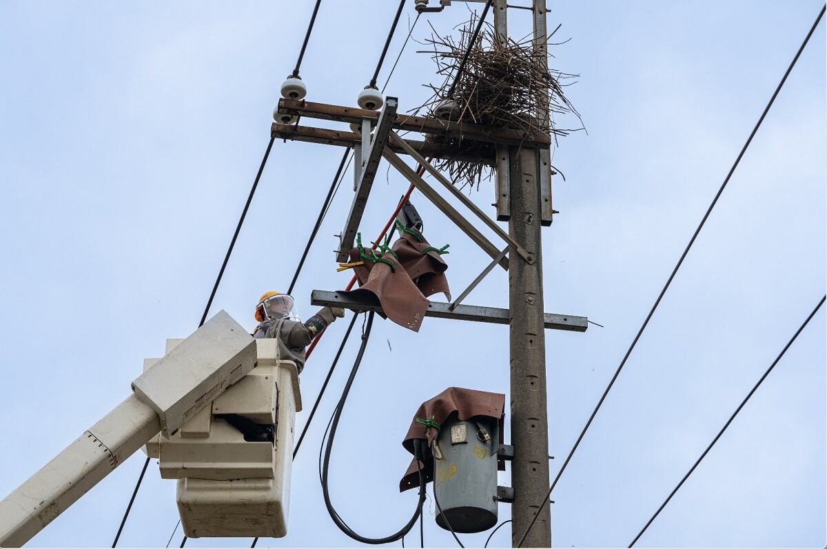 台電表示,預算撥補有助台電持續投資電力建設、穩定供電。圖/擷取自台電官網