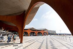 動力飛行傘低飛南寮漁港　竹市：非合法空域可檢舉