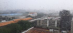 吳德榮：颱風蝴蝶將成形　12日起防劇烈降雨