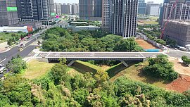 通車了！機場捷運A7站聯外道路「牛角坡橋」完工