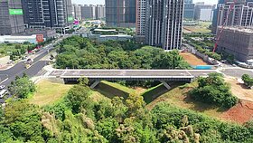 通車了！機場捷運A7站聯外道路「牛角坡橋」完工