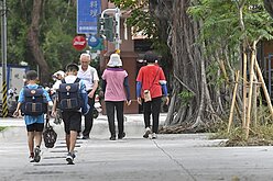 高市苓洲國小通學步道換新 營造通行友善環境