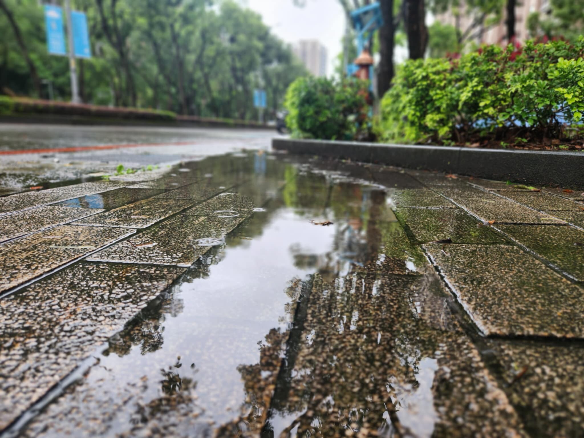 高雄豪雨估晚間漸緩　適逢大潮防範淹水