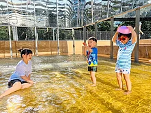 壽山動物園暑假兒童免費入園　延長開園時間