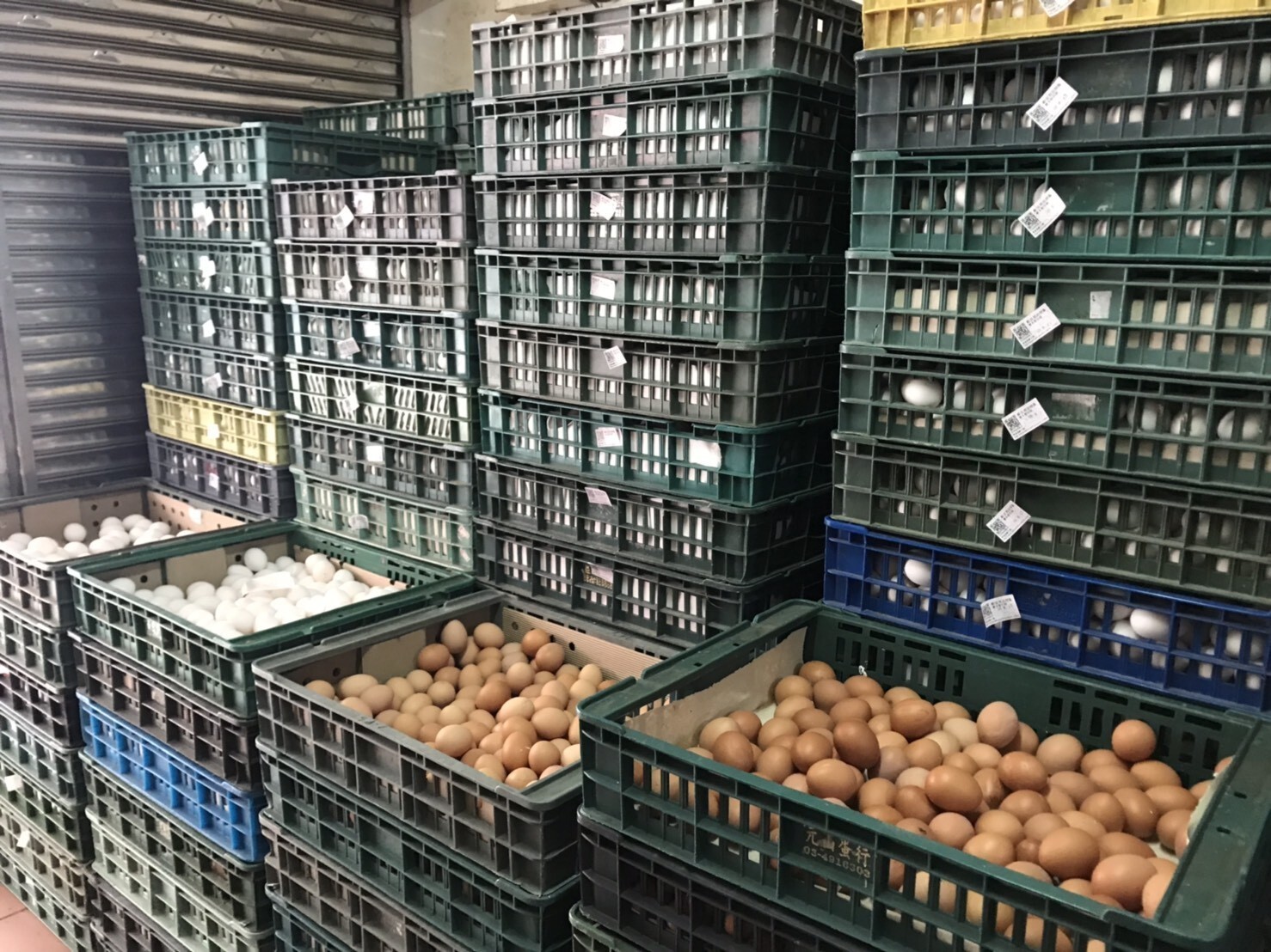 天熱影響買氣　雞蛋產地價每台斤降3元