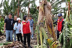 颱風丹娜絲掃過雲林　農損金額估逾2億元