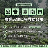 颱風丹娜絲農損逾10億元　香蕉損失1.3億元最多