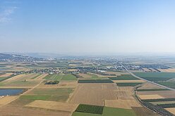 繼承農業用地　未符合「1條件」仍須補繳遺產稅