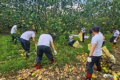 颱風重創　台電3.8萬人次、千名替代役馳援災區