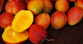 台南愛文芒果進軍東京頂級超市　1顆創近900元高價