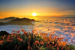 夏季旅展一票逛4天　日韓行程詢問度高