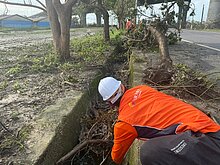 丹娜絲颱風毀基地台　電信三雄出動逾5千人次搶修