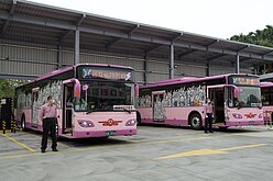 乳癌醫遭公車撞死地點　北市會勘祭5措施改善安全