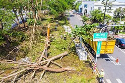 嘉市36處公園7月底完成清運　將打造韌性都市