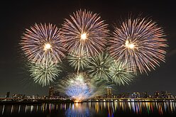 大稻埕煙火首場萬紫埕紅　百鳥雷鳴璀璨至華麗金瀑