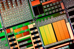 輝達售中晶片15%收益上繳美政府　可能擴及其他公司