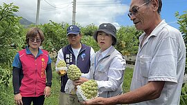 颱風楊柳農損3.5億元　台東縣逾3億元最多