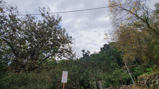 南投草屯農地法拍低於市價　平均每坪不到6千元