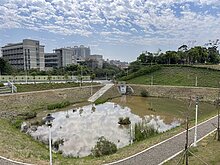 強化國土承洪韌性　經濟部修正開發案出流管制門檻