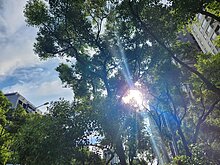 未來一週天氣晴朗　各地高溫32至35度