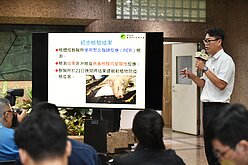 台灣疑現首例非洲豬瘟　陳吉仲籲產業團結防疫