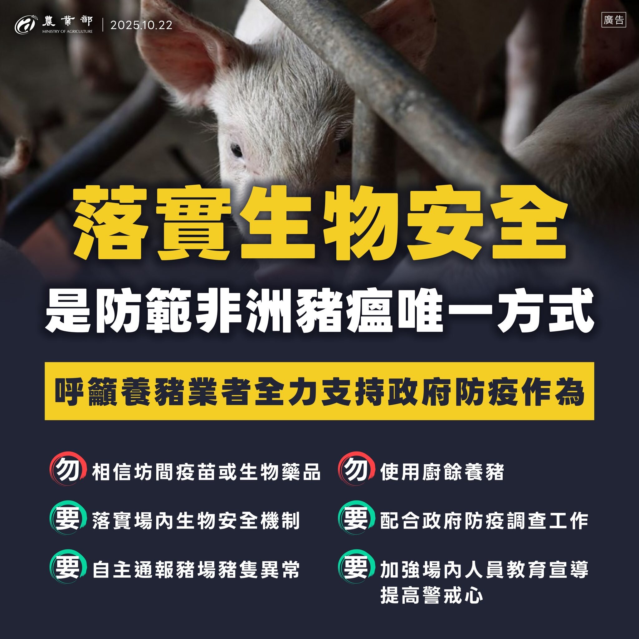 嚴防非洲豬瘟　關務署提4項策進作為