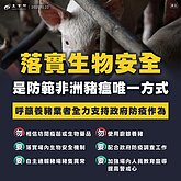 嚴防非洲豬瘟　關務署提4項策進作為