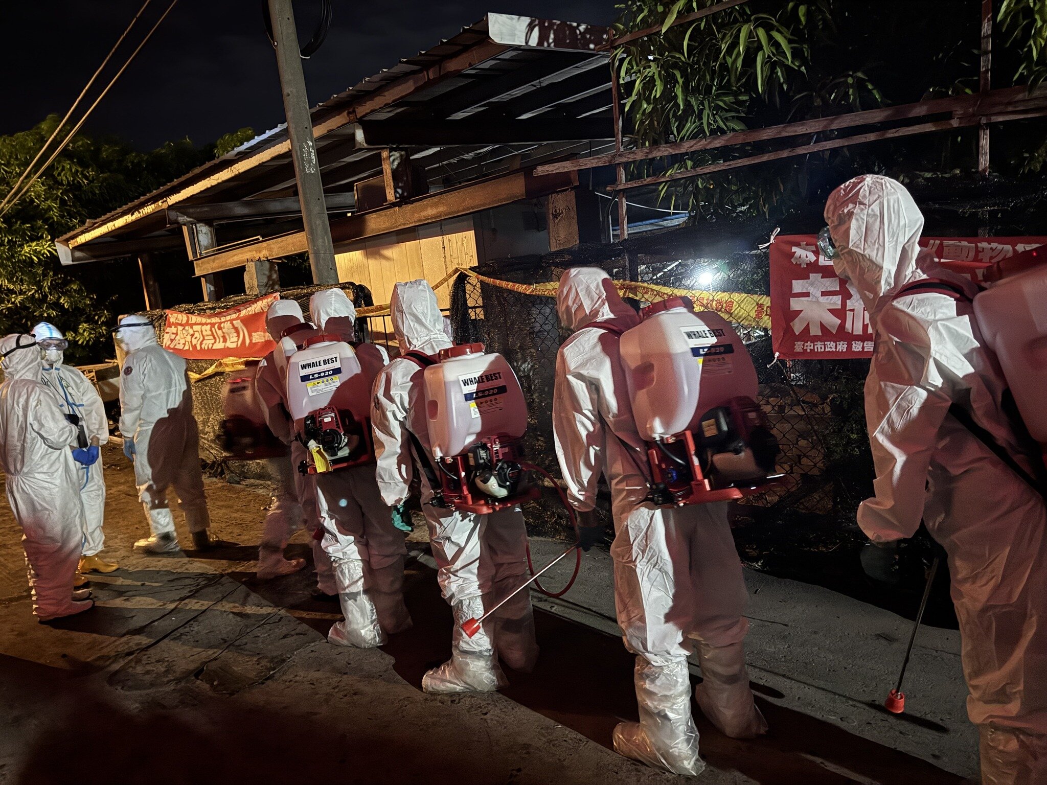 非洲豬瘟台中案場仍有病毒DNA　農業部：不應再養豬