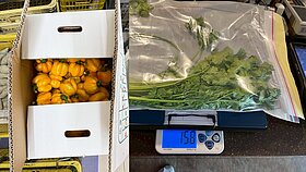 北市抽驗生鮮蔬果　多件青蔥、香菜殘留農藥超標