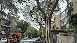 北市擬放寬民生社區都更規定　都委會要求修改再送審