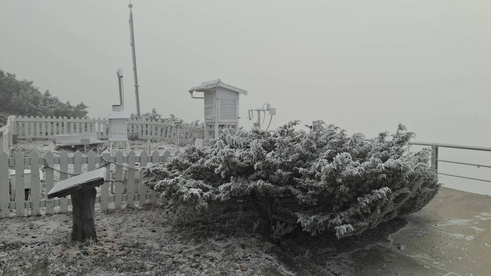 大陸冷氣團影響，玉山降雪了！圖／氣象署