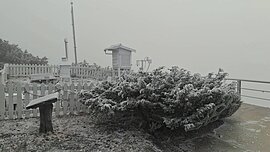 大陸冷氣團影響　玉山北峰中午再度降雪