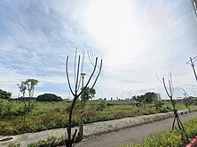 輝達擬設第二總部落腳在「這」？專家：外溢效應恐提早發生